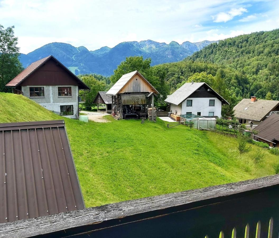 Alpine Village Home Бохинь Экстерьер фото